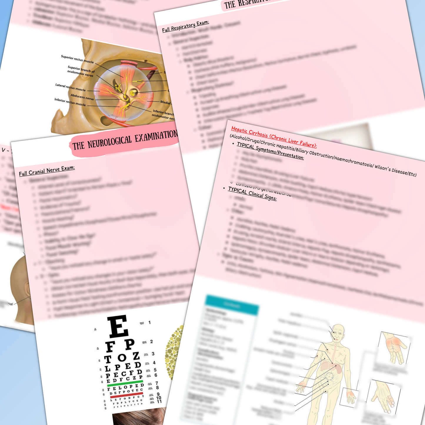Clinical Skills And Examinations | 169 Pages | 14 Topics