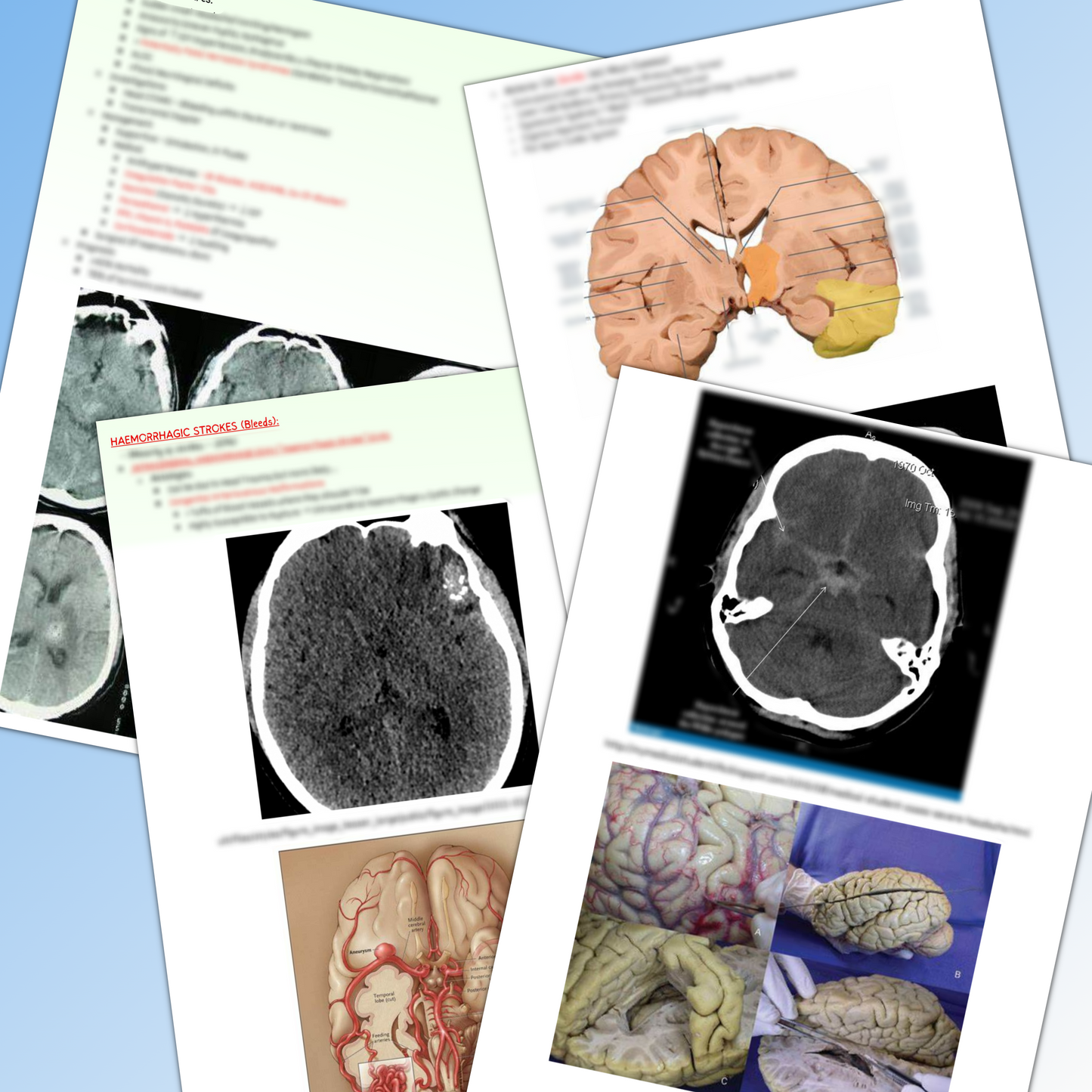 emergency room medicine|51 pages|3 topics