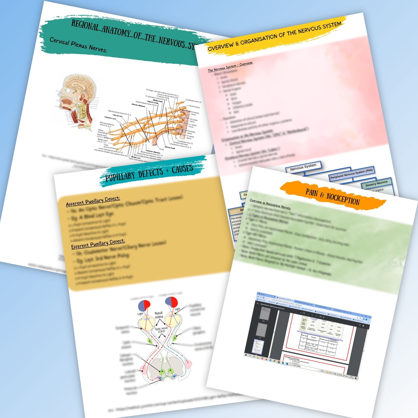 Nervous System|300 Pages| 22 Topics