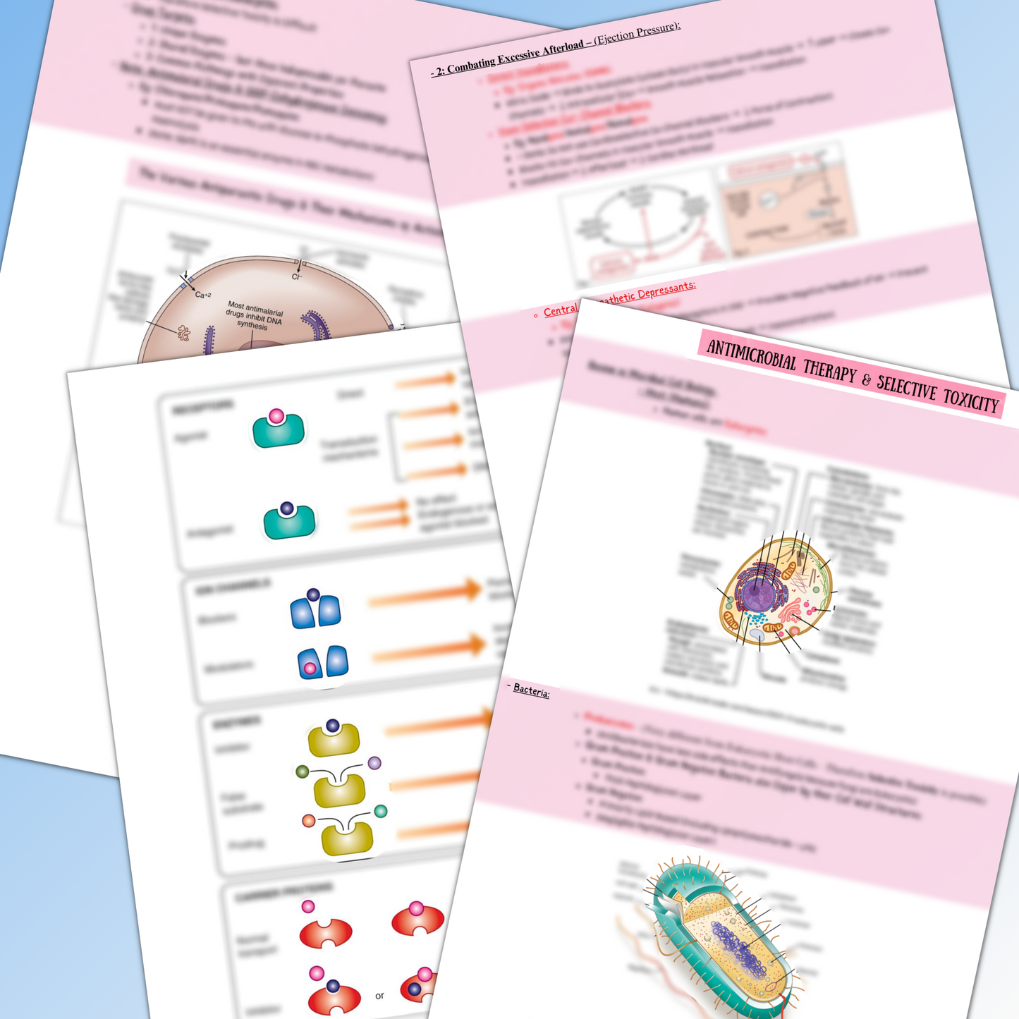 Clinical Pharmacology|219 Pages|22 Topics