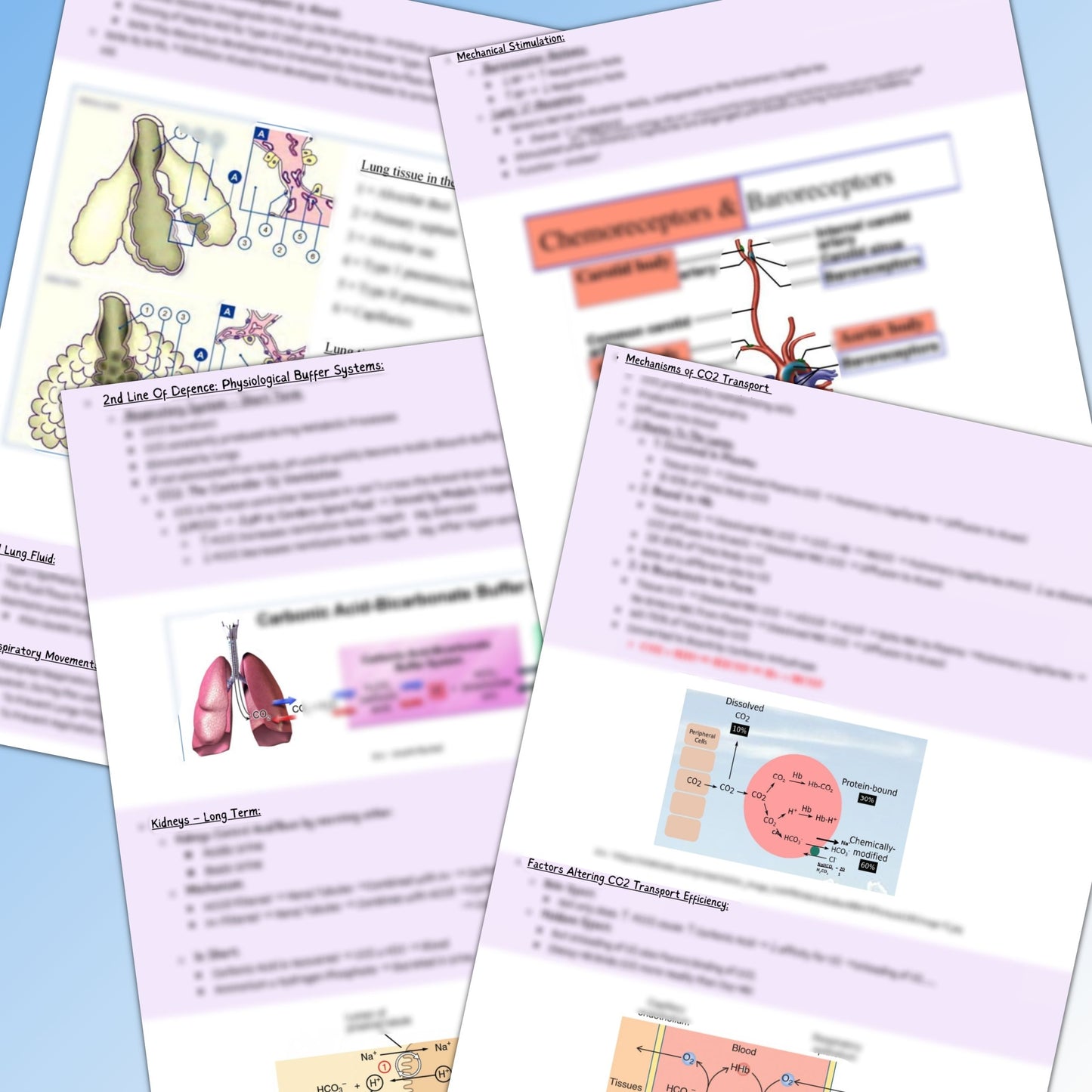 Respiratory System |188 pages|18 Topics