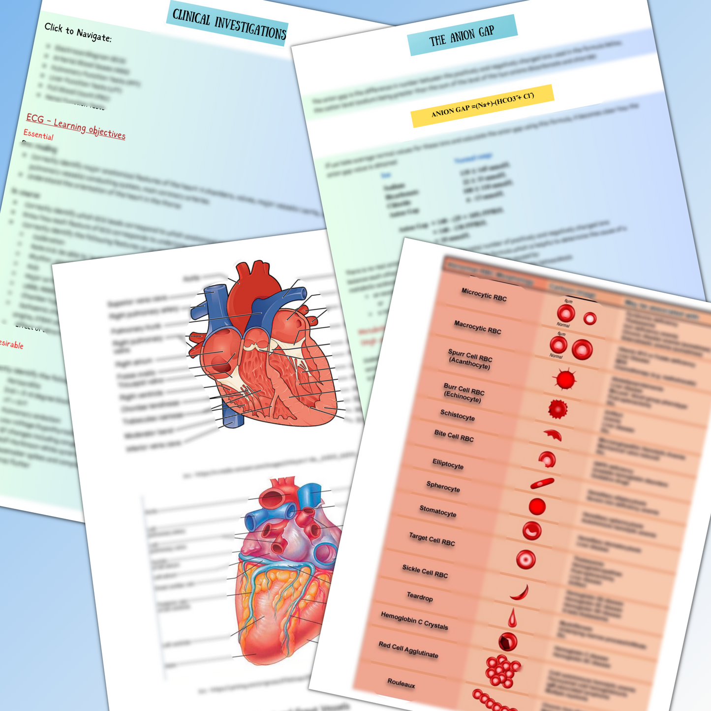Clinical Investigations|168 Pages|71 Topics