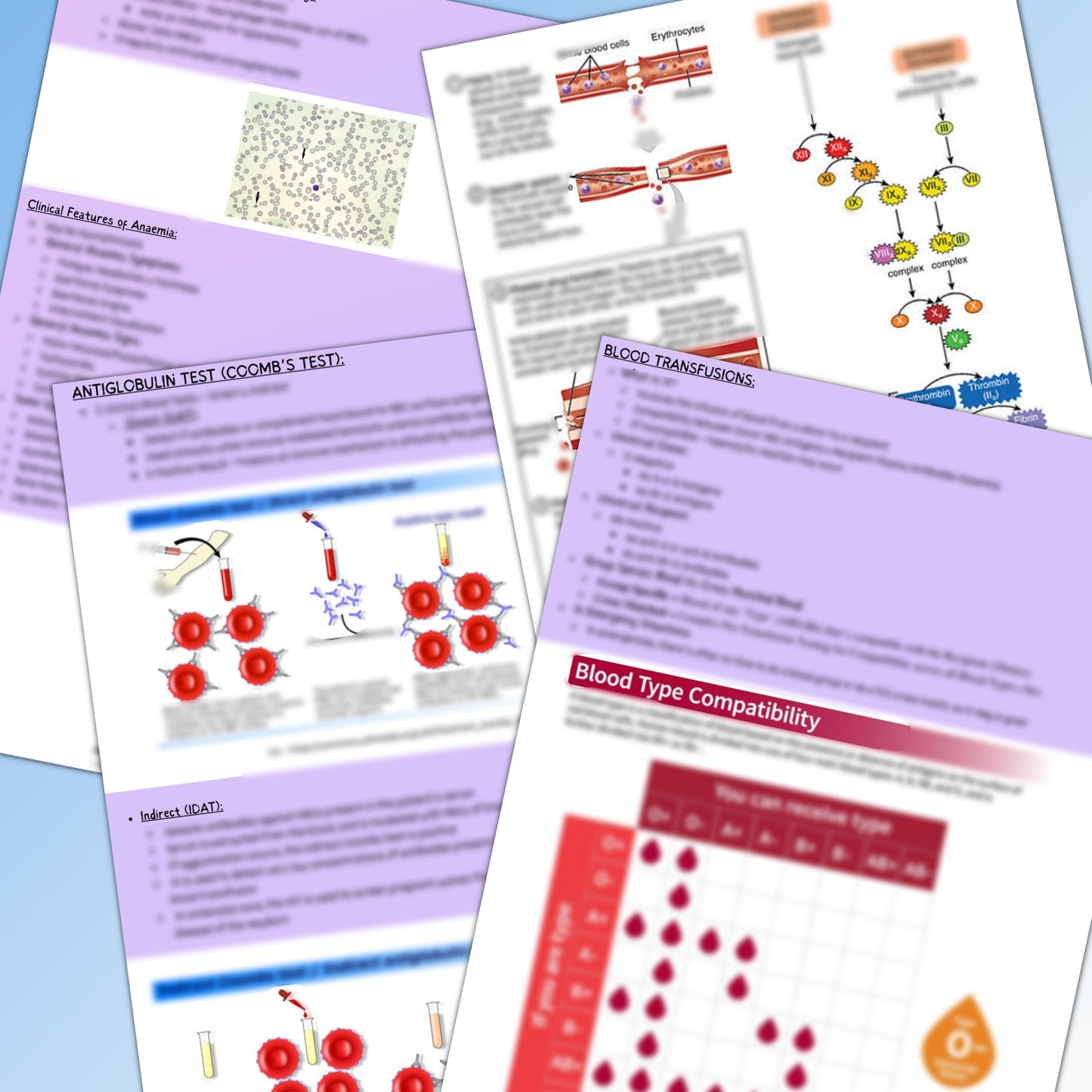 Blood|108 pages|16 topics