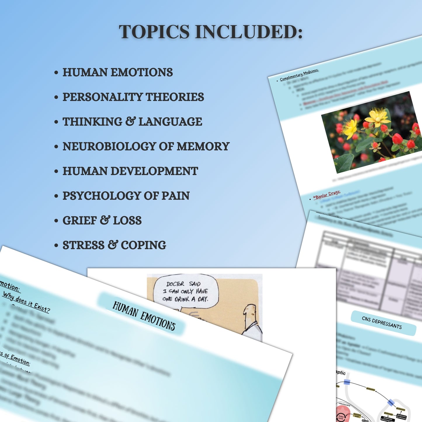 Mental Health Psychiatry |127 pages|11 Topics
