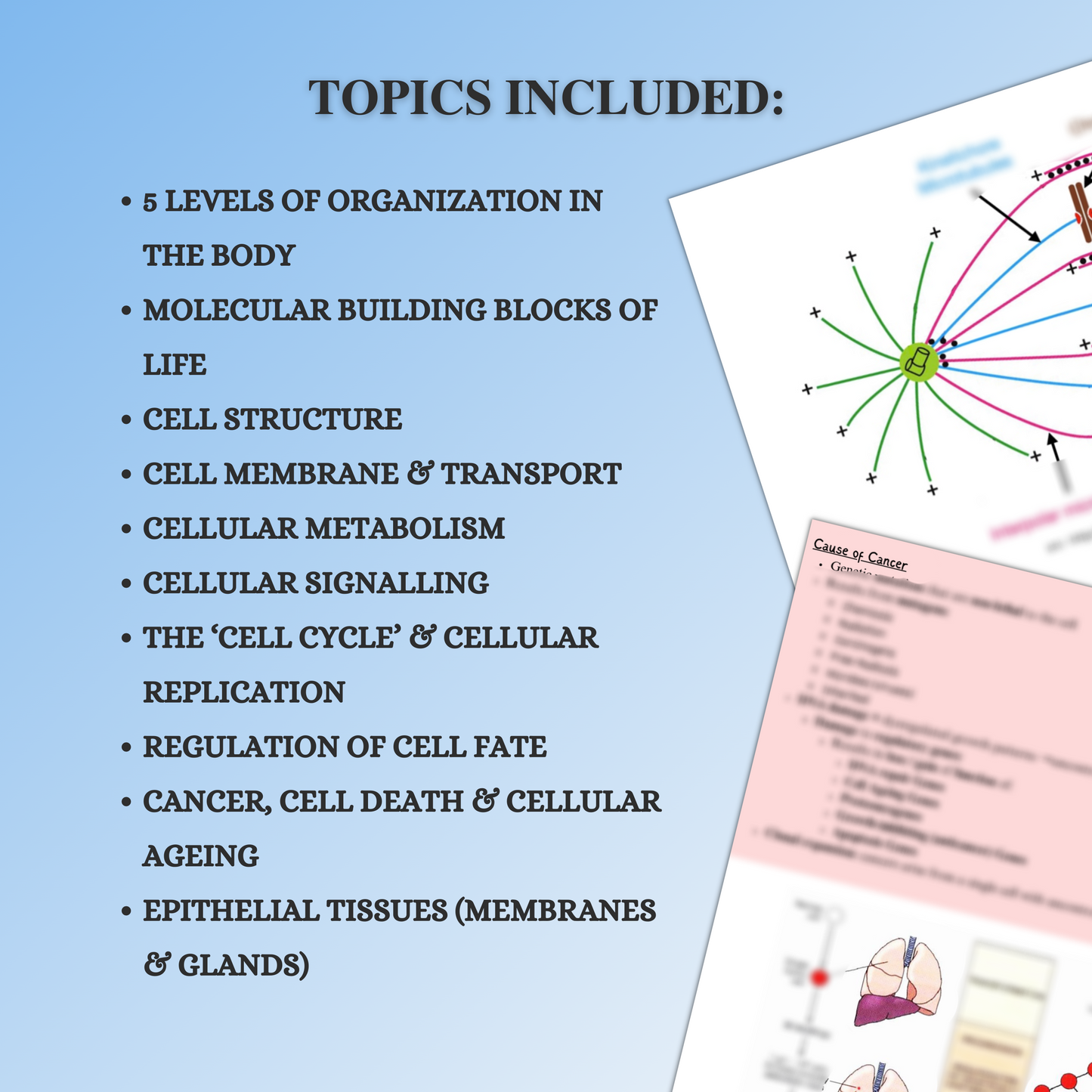 Cell Biology And Biochemistry|144 Pages|16 Topics