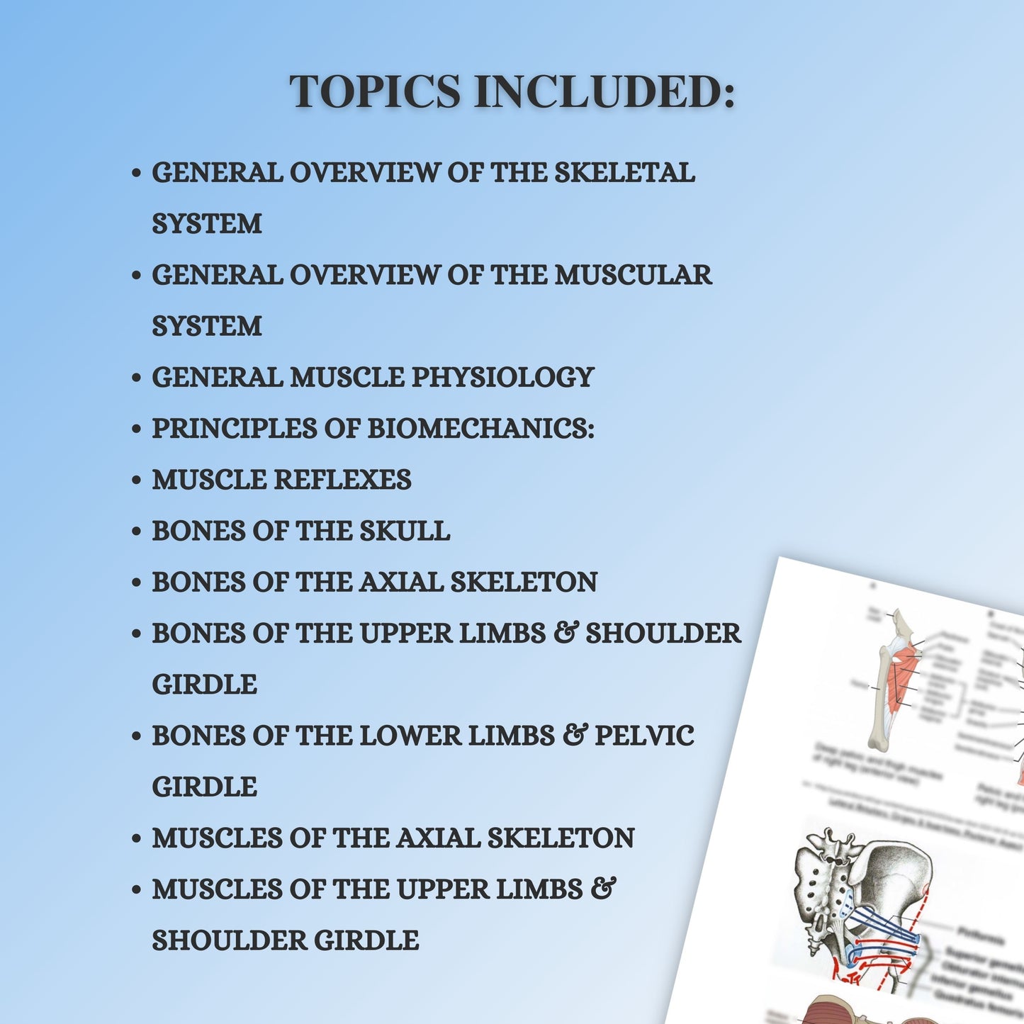 Musculoskeletal System| 200 Pages| 18 Topics