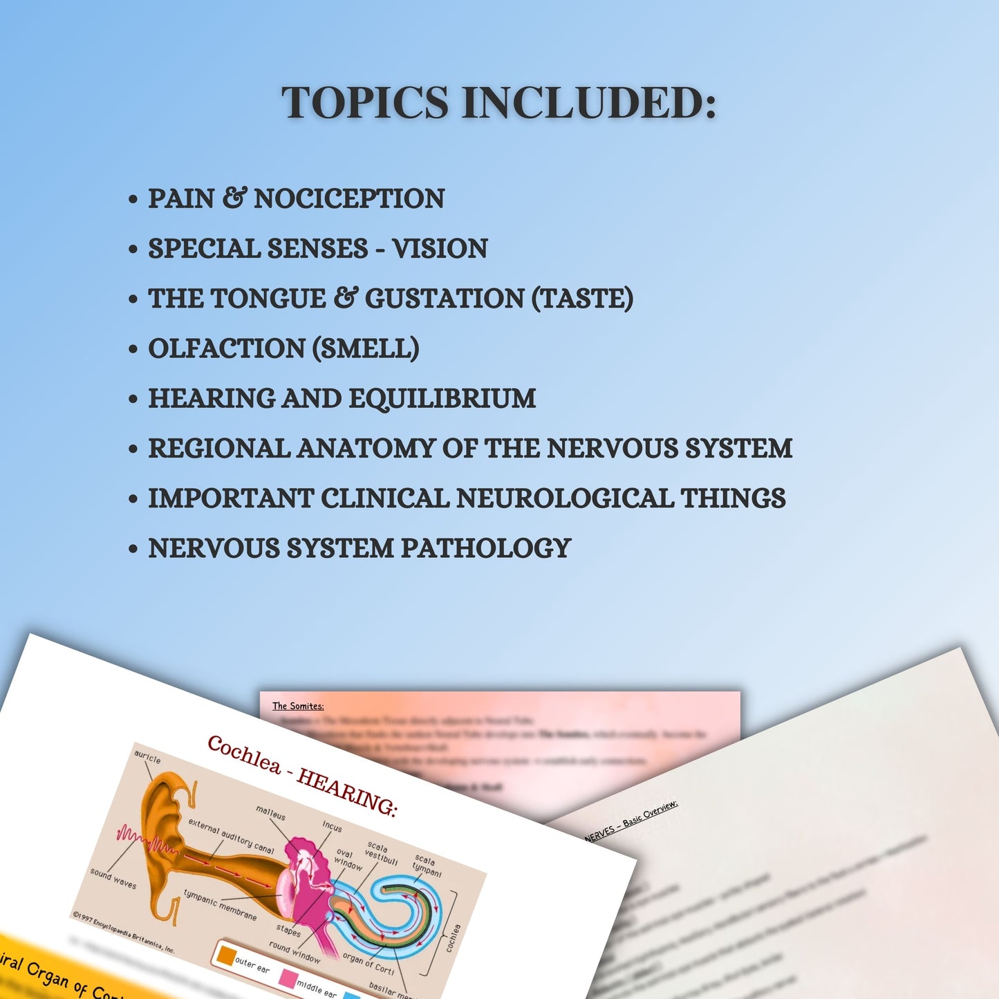 Nervous System|300 Pages| 22 Topics