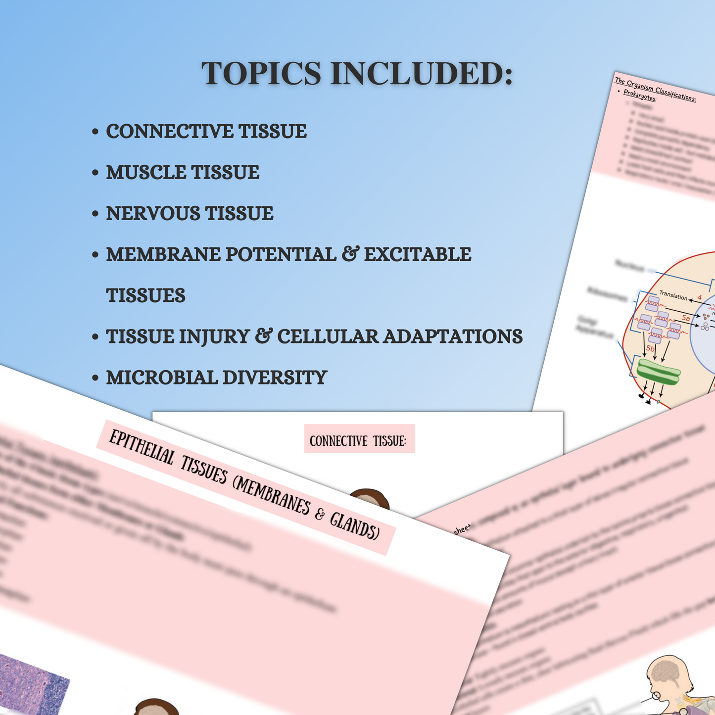 Cell Biology And Biochemistry|144 Pages|16 Topics