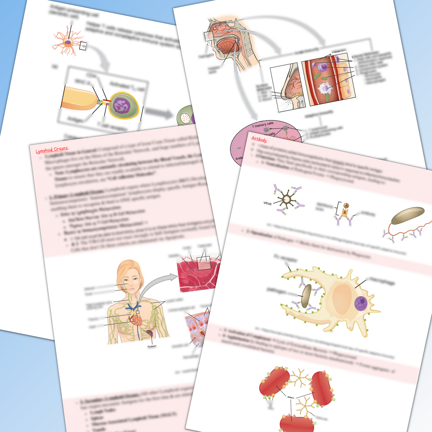 Overview Of The Immune System|148 Pages|11 Topics