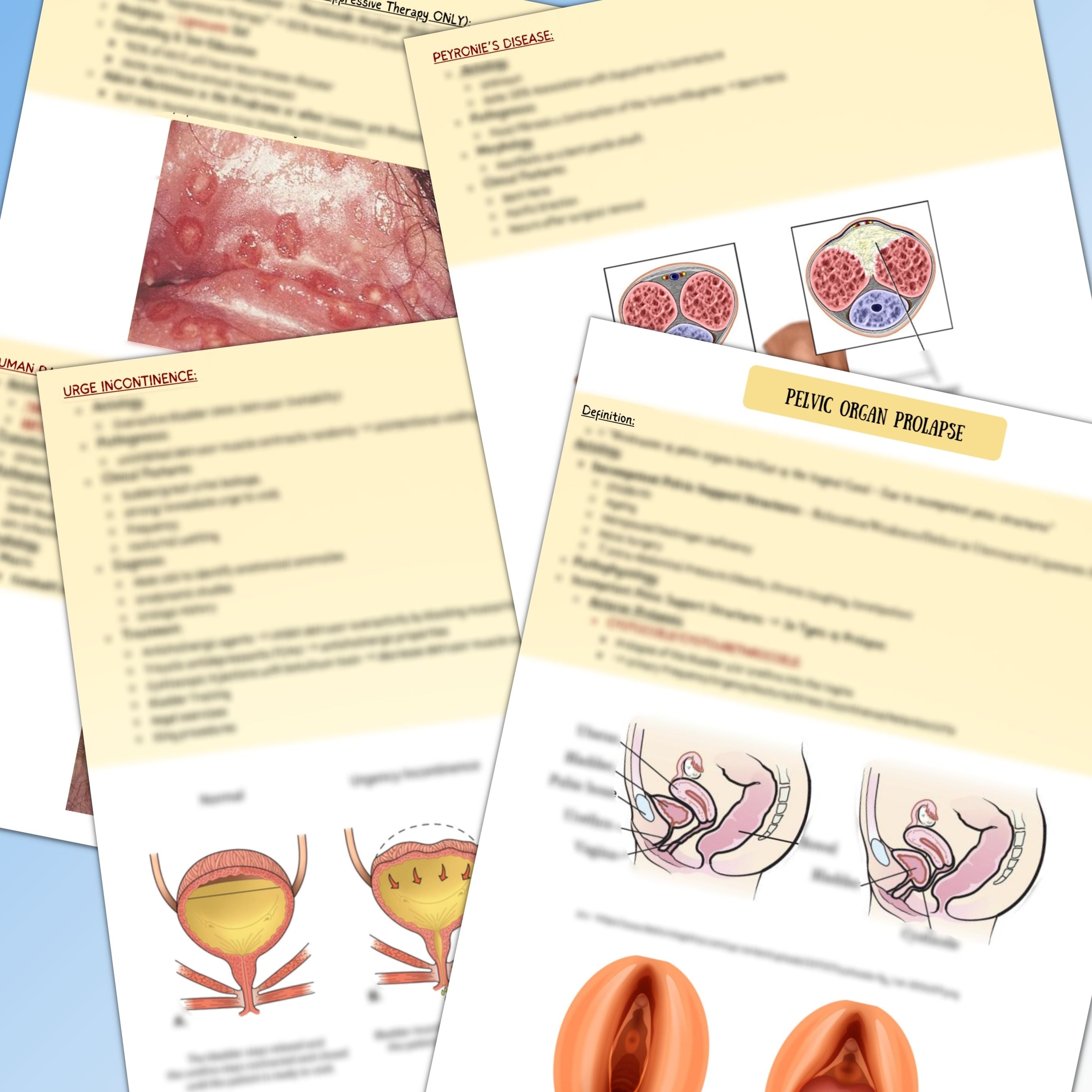 Sexual And Reproductive Health 170 Pages 22 Topics