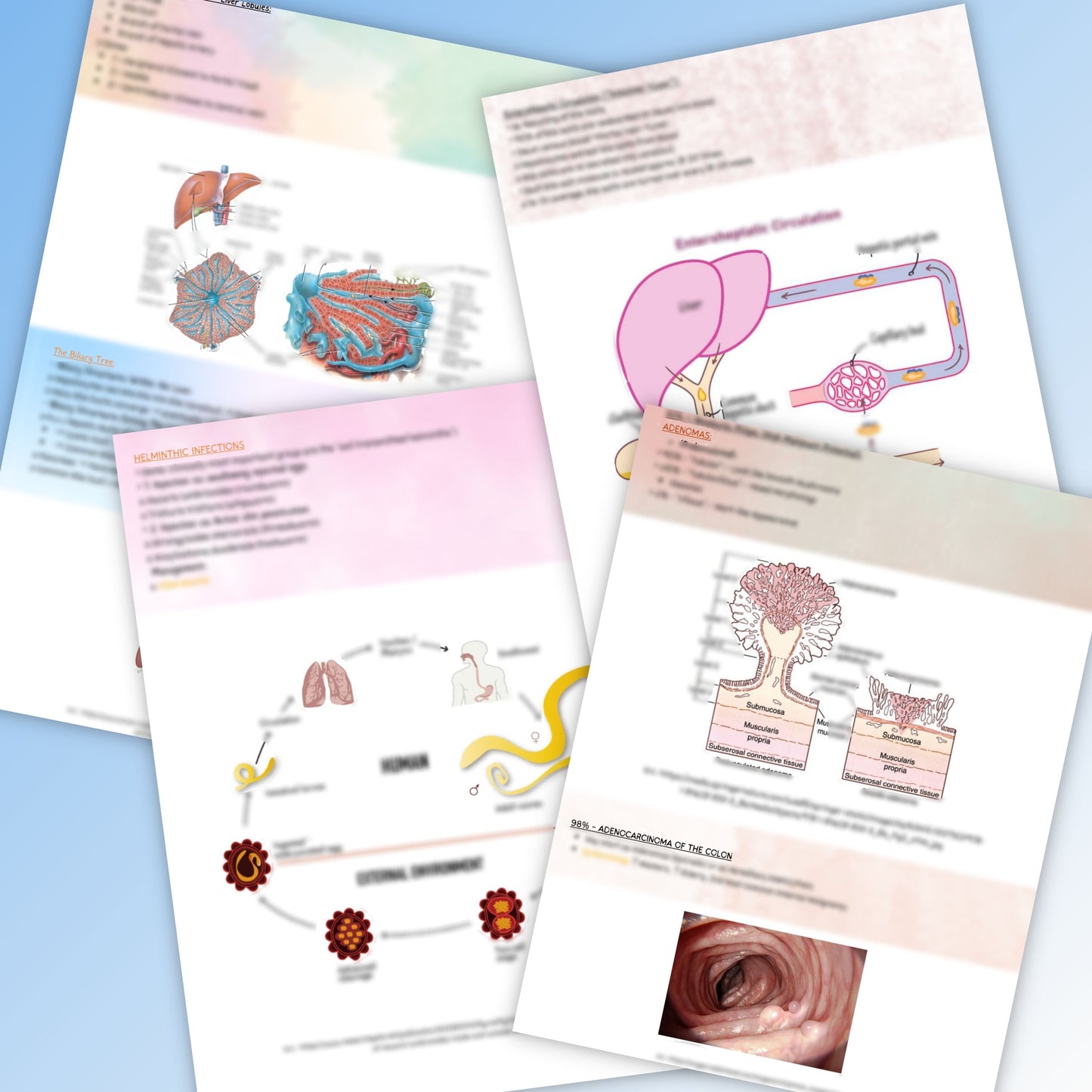 Gastro Intestinal System| 194 pages| 8 Topics