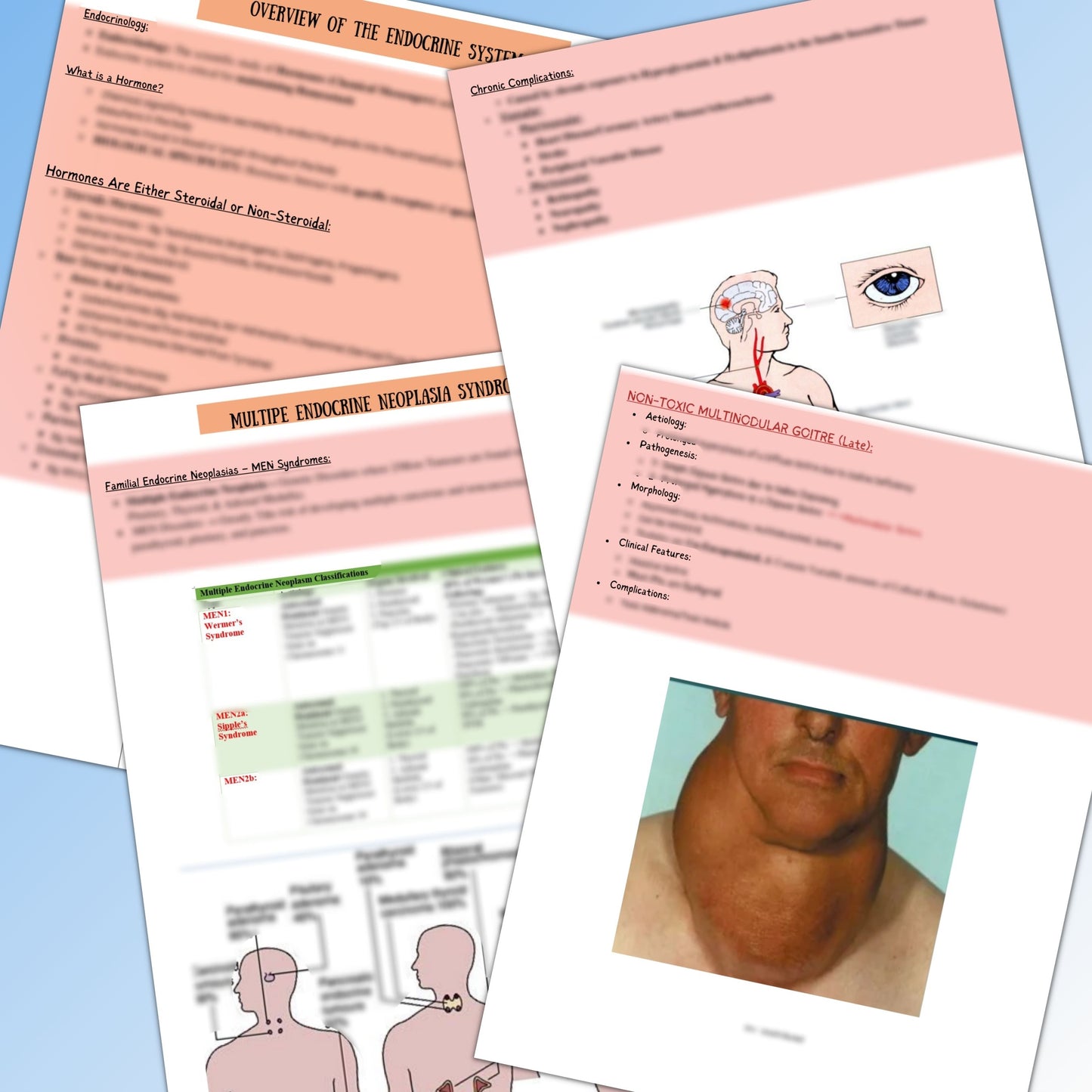 Endocrine System|140 Pages| 22 Topics